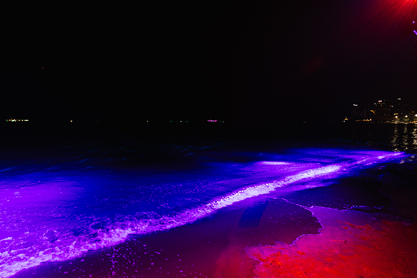 Pattaya Lighting 2025