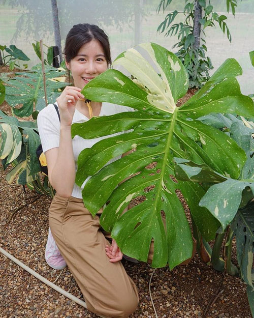 สวน เคน ภูภูมิ เอสเธอร์