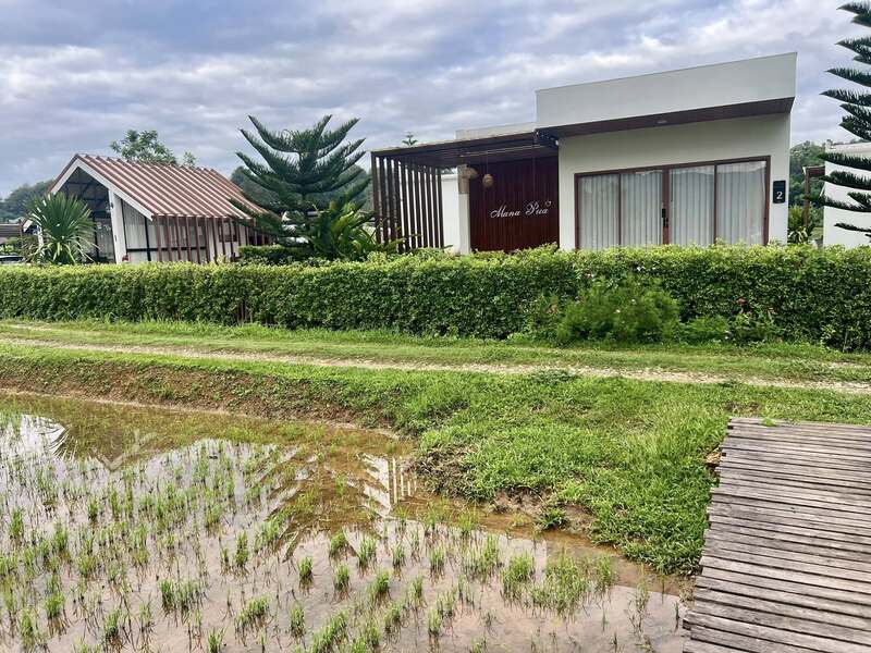 ที่พักวิวทุ่งนา 2568