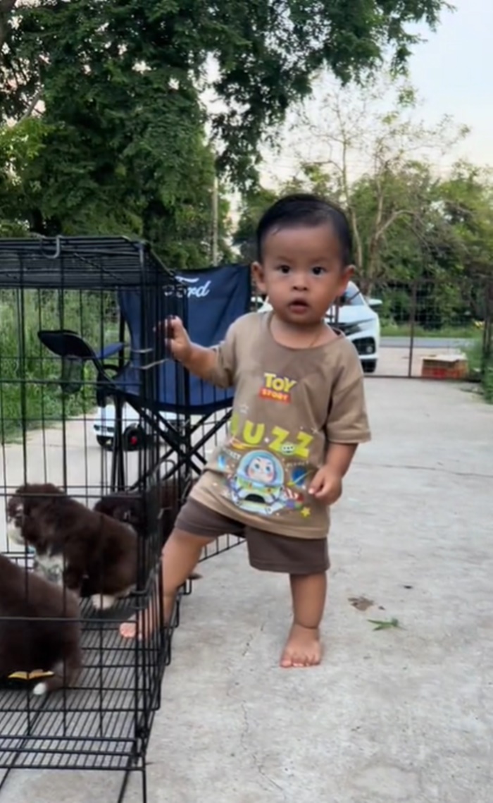 ลูกหมา