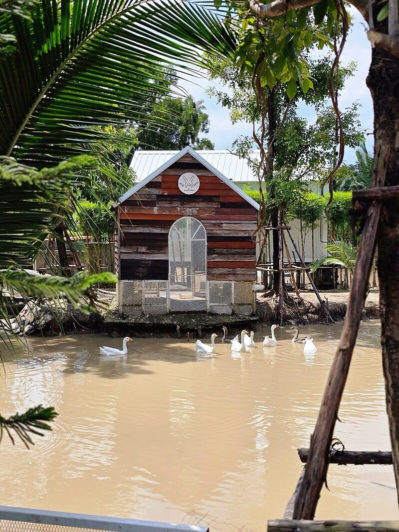 คาเฟ่แถวซาฟารีเวิลด์ Antika Safari