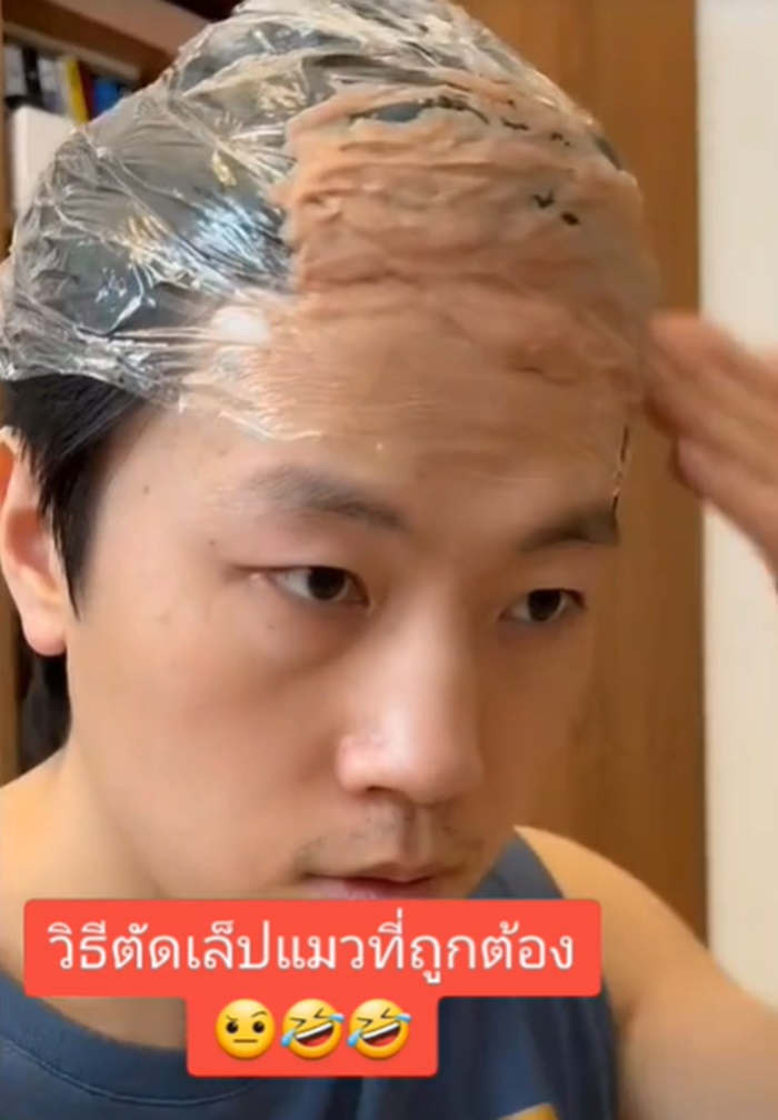 ตัดเล็บแมว