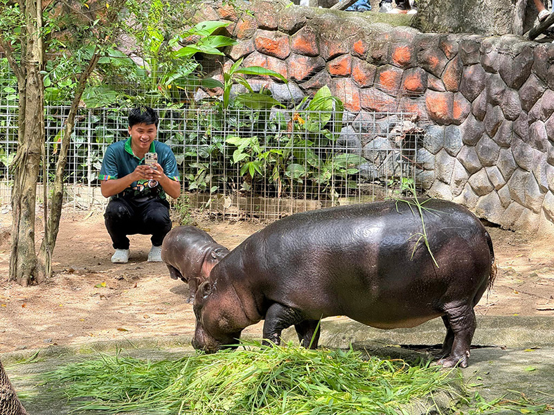 หมูเด้งกับแม่โจน่า ที่สวนสัตว์เปิดเขาเขียว