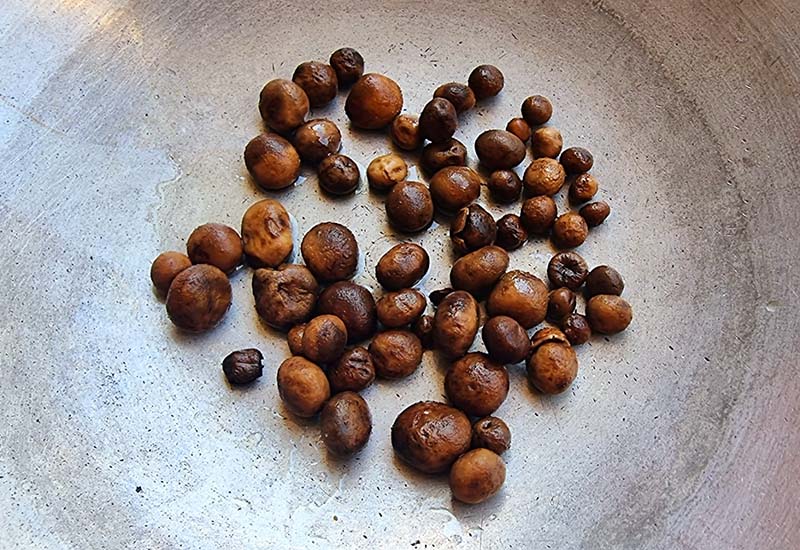 แกงเผ็ดเห็ดเผาะใบชะคราม
