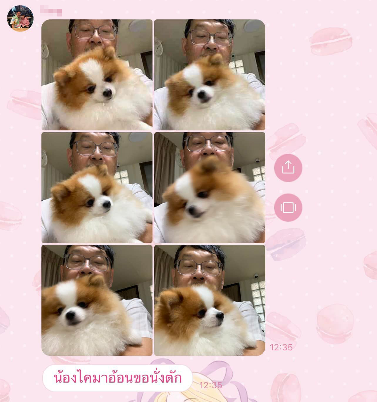 เลี้ยงหมา