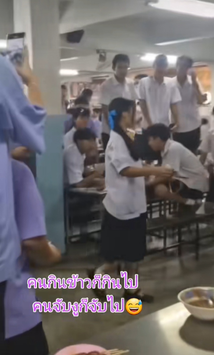 จับงู