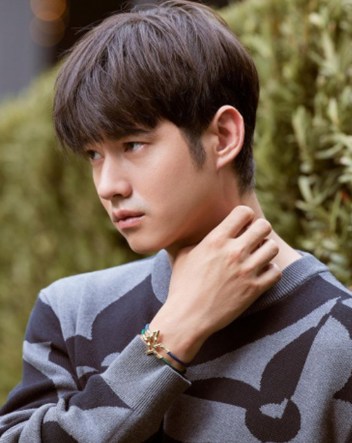 มาริโอ้ เมาเร่อ