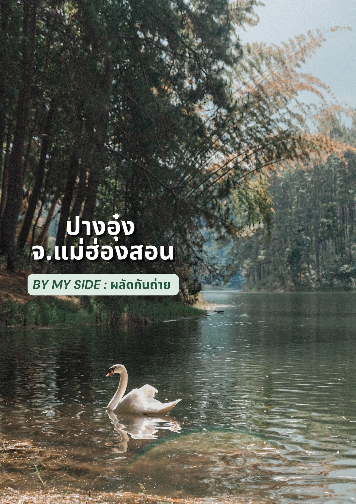 ปางอุ๋ง