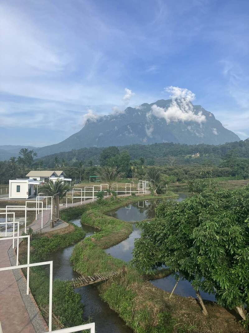 ที่พักวิวทุ่งนา 2568 The Rice Chiang Dao