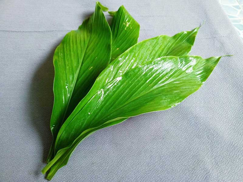 สูตรแครอตทอด