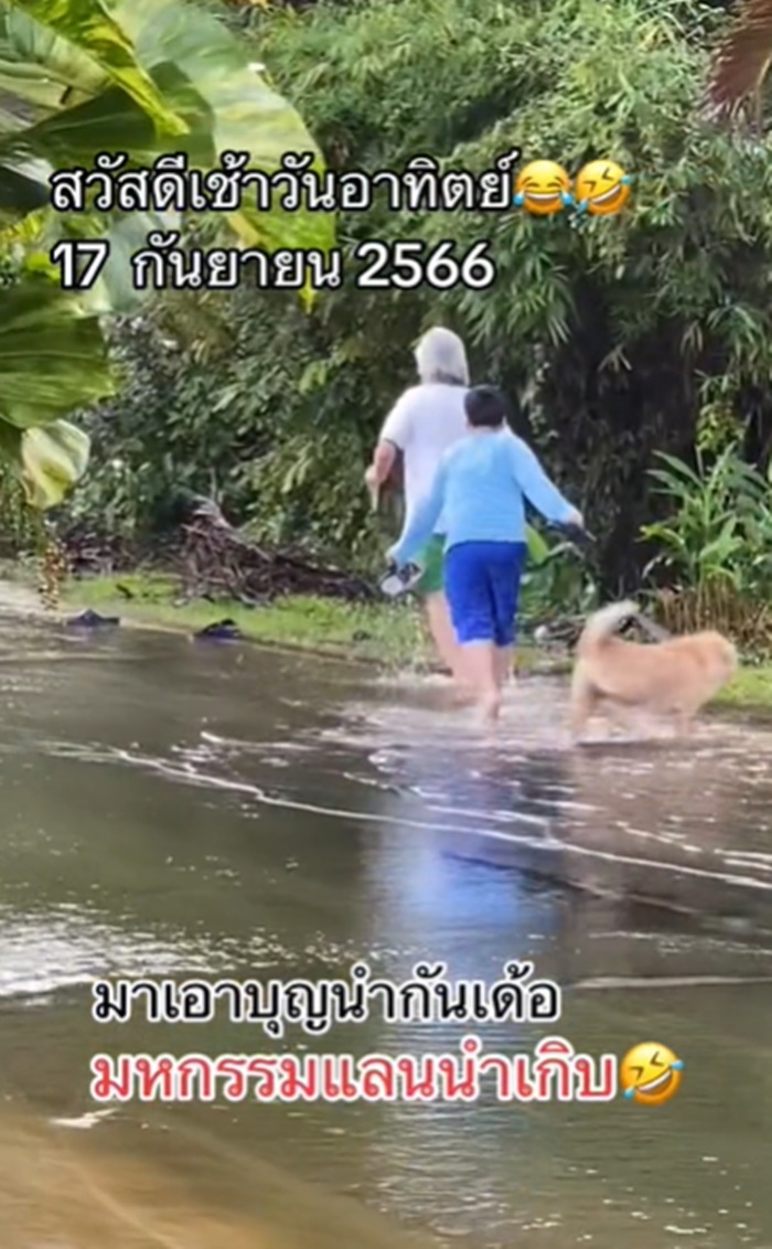 ใส่บาตร