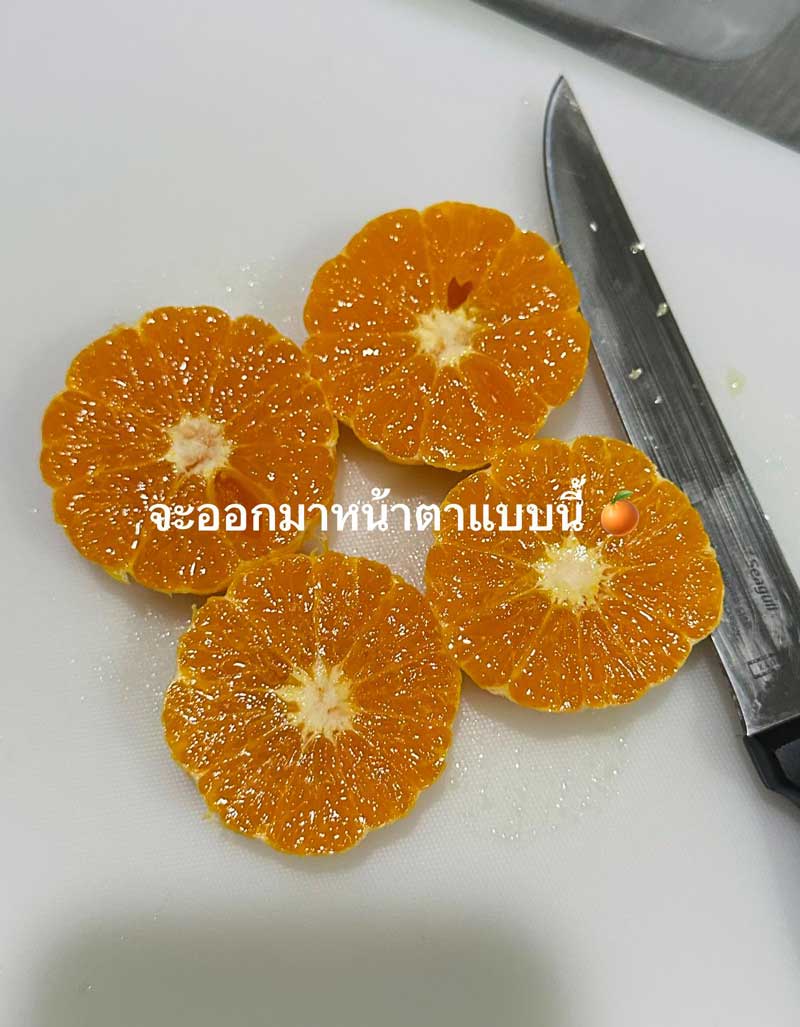 วิธีปอกส้มเปลือกหนา