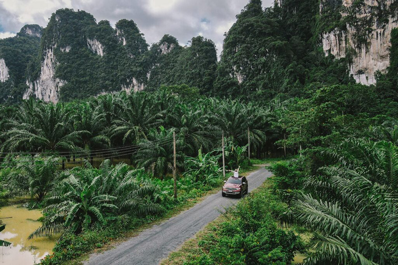 Our Jungle House