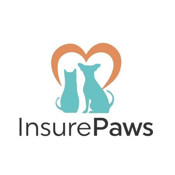 ภาพจาก : เฟซบุ๊ก InsurePaws - Pet Insurance