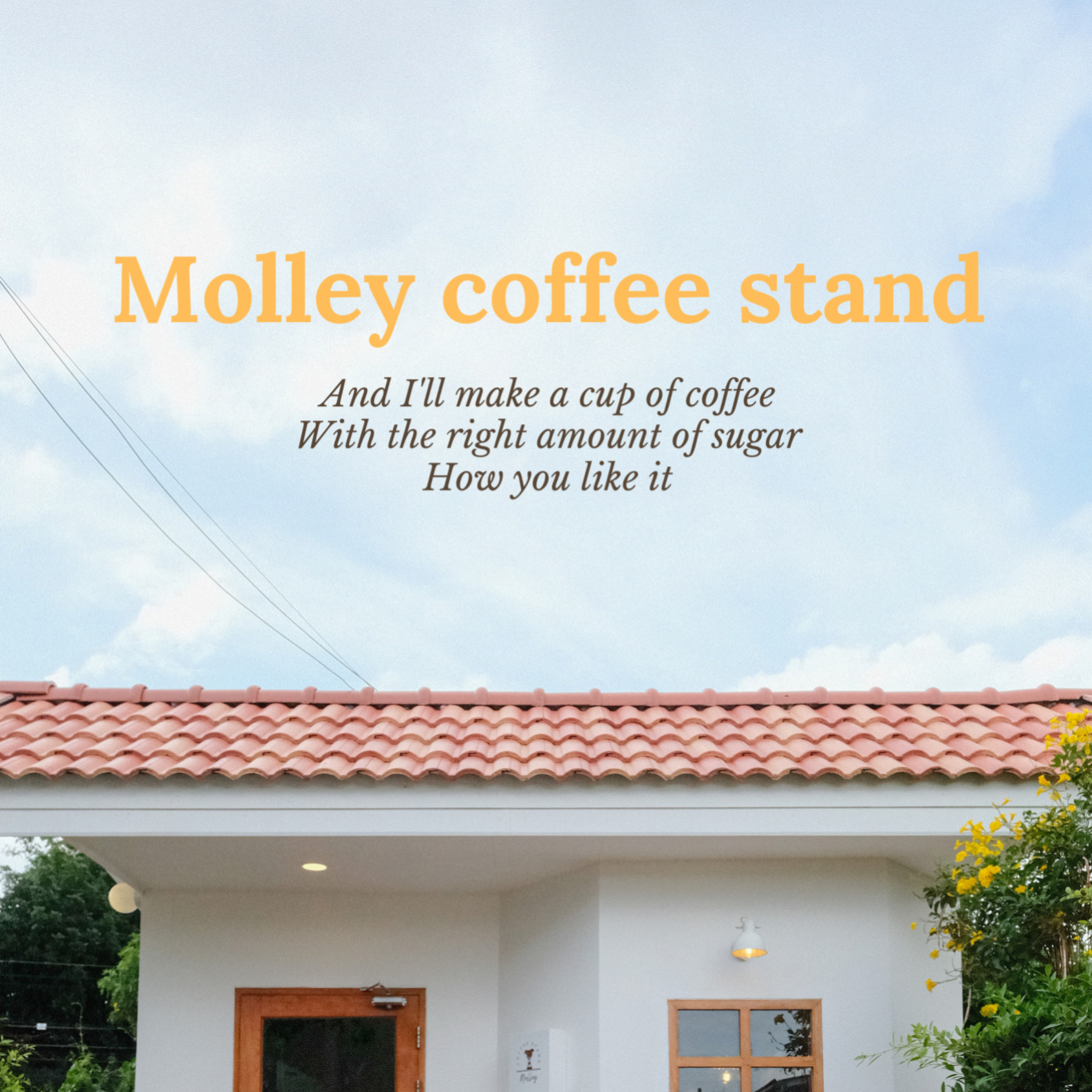 Molley coffee stand