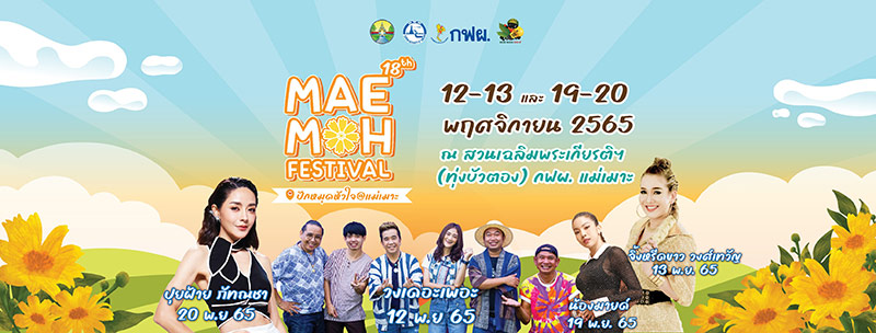 ทุ่งดอกบัวตอง 2565