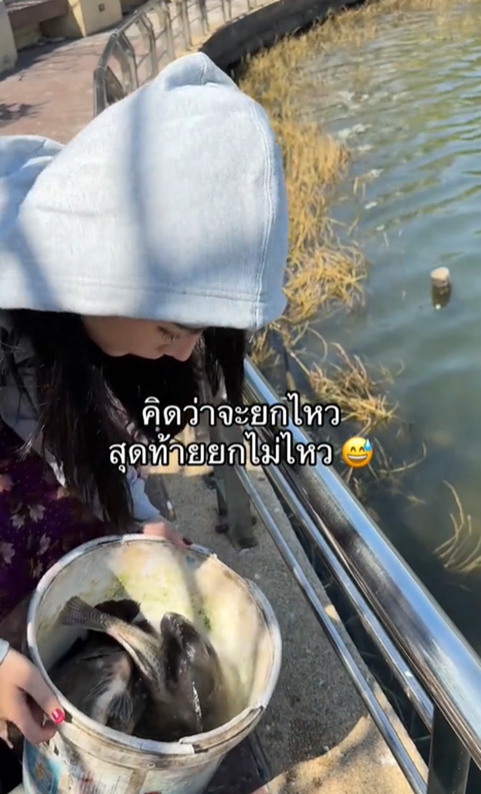 ปล่อยปลา