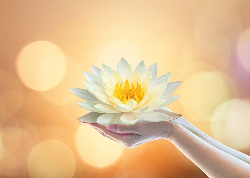 วันพระเดือนกรกฎาคม 2568