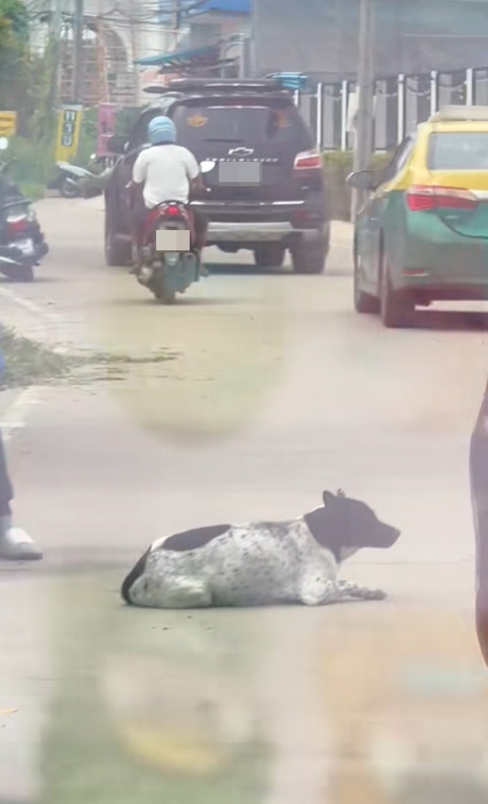 รถติด