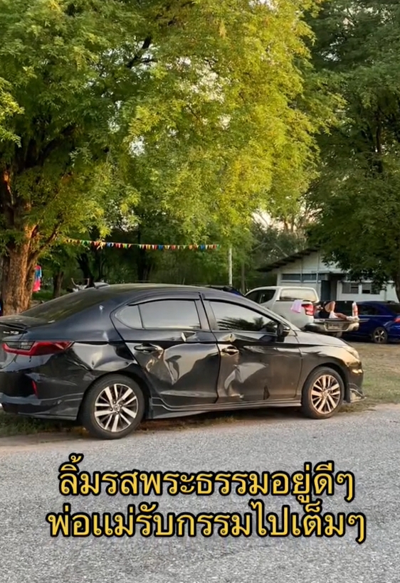 แมวซน