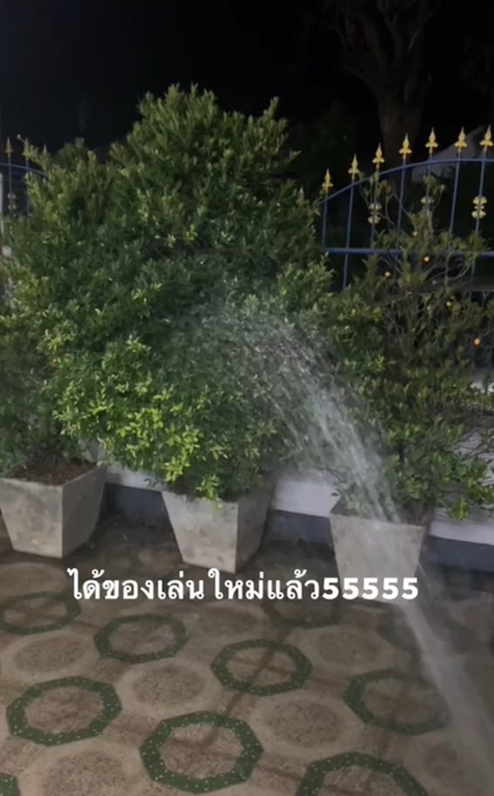 รดน้ำต้นไม้