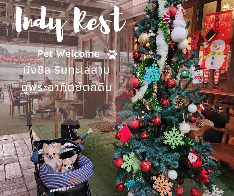 Indy Rest