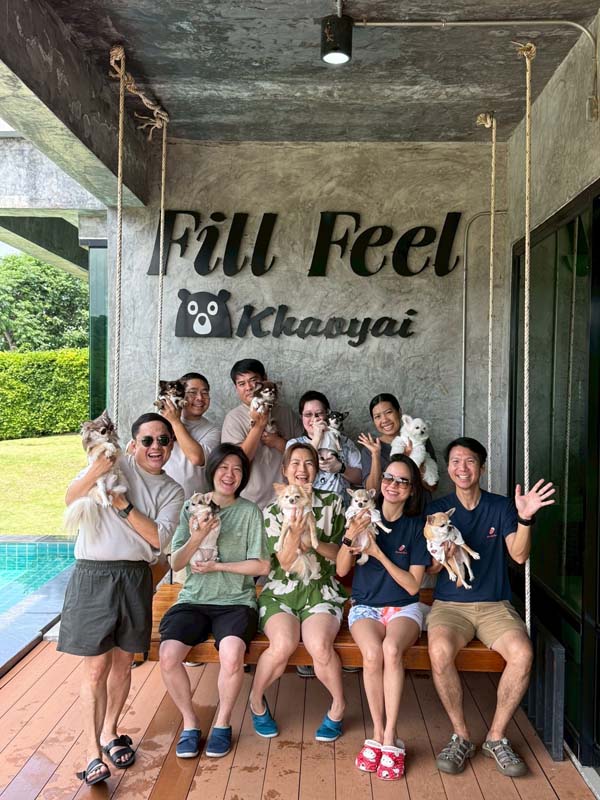 Fill Feel