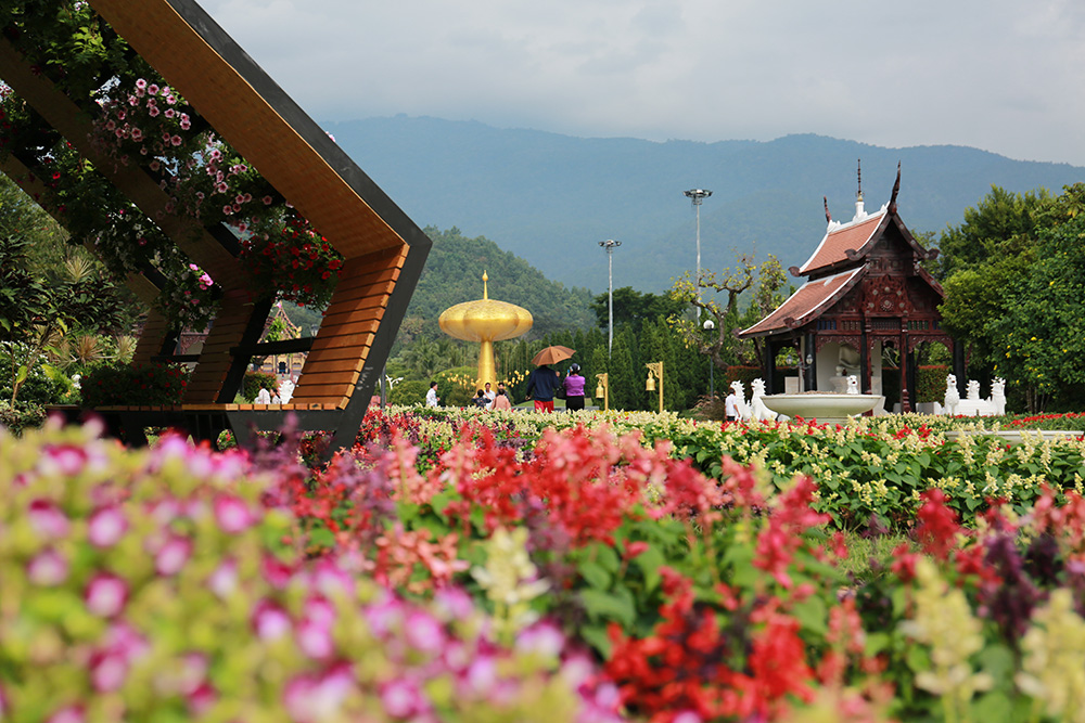 เทศกาลชมสวน 2563 อุทยานหลวงราชพฤกษ์