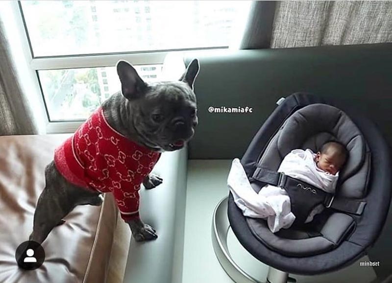 somkidthefrenchie