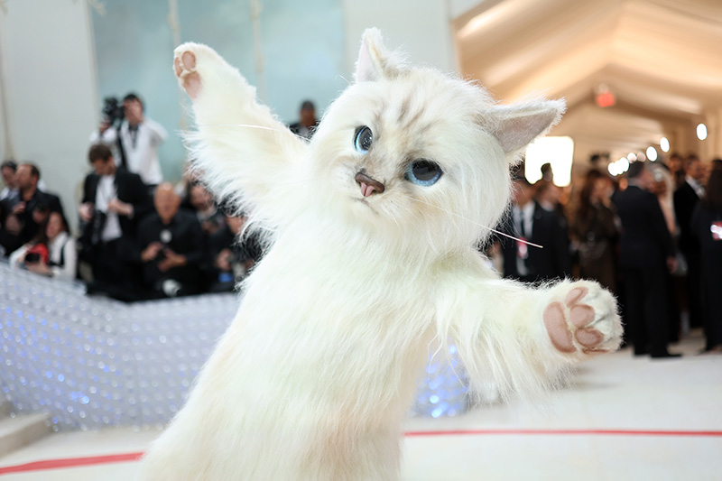 met gala 2023 แฟชั่นพรมแดง