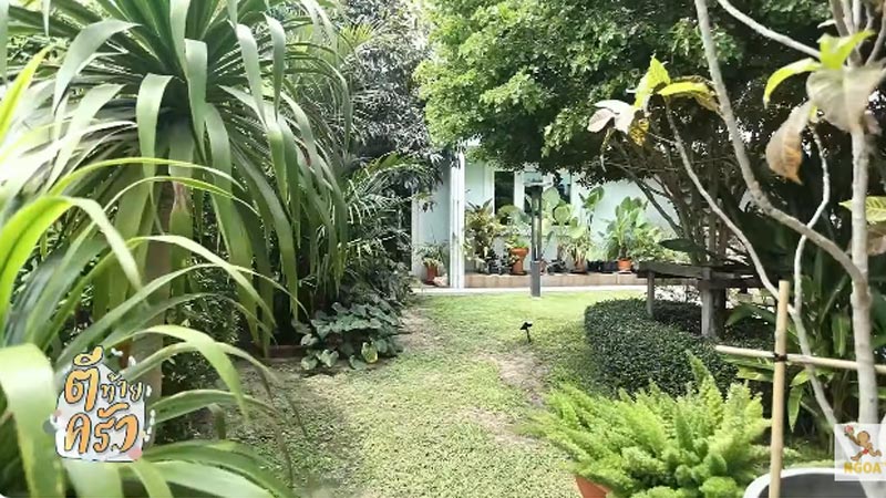 บ้าน หนุ่ม สันติสุข สวน