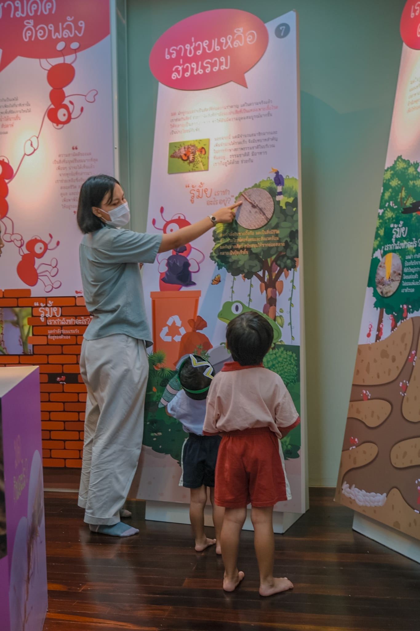 Ant Museum