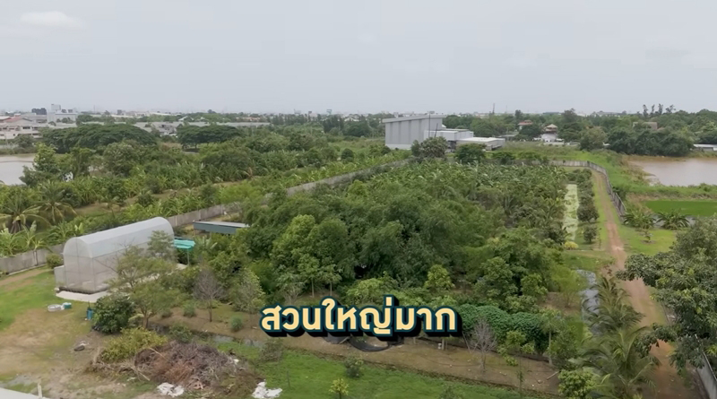 สวนผลไม้