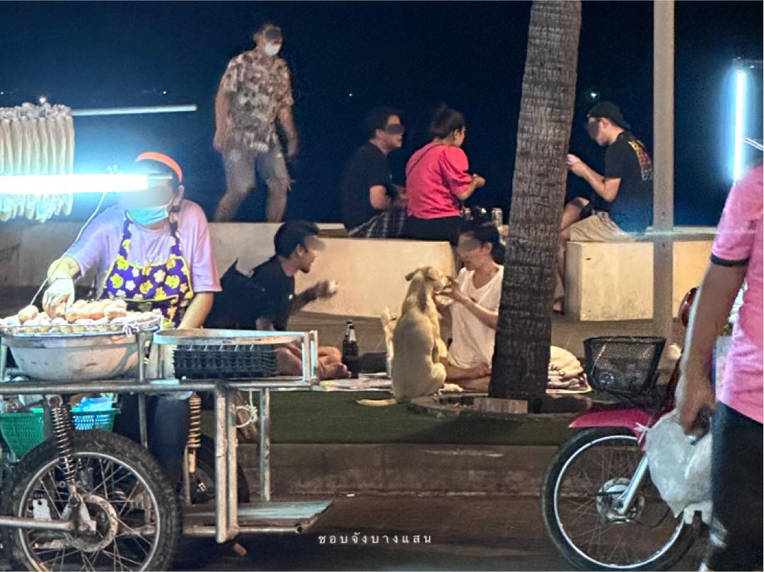 หมาหิว