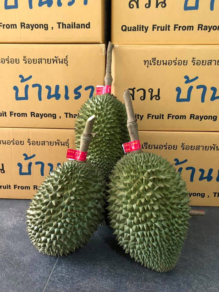 ทุเรียนเดลิเวอรี่