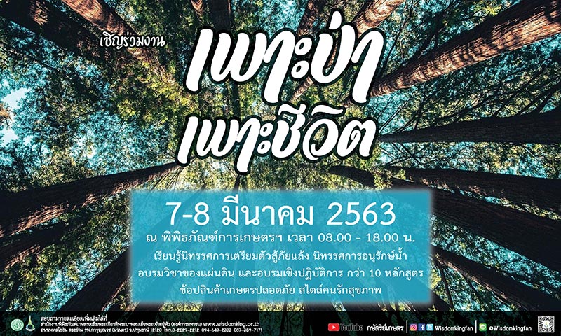 เทศกาลท่องเที่ยวเดือนมีนาคม 2563