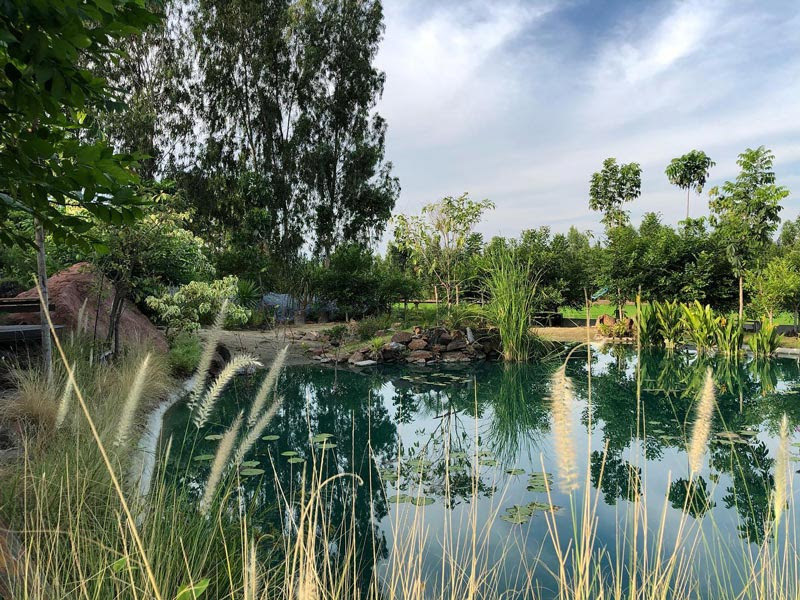 คาเฟ่สุพรรณบุรี