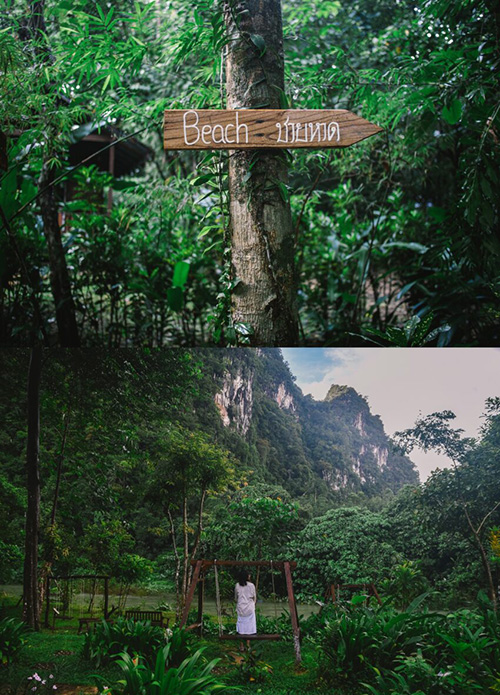 Our Jungle House