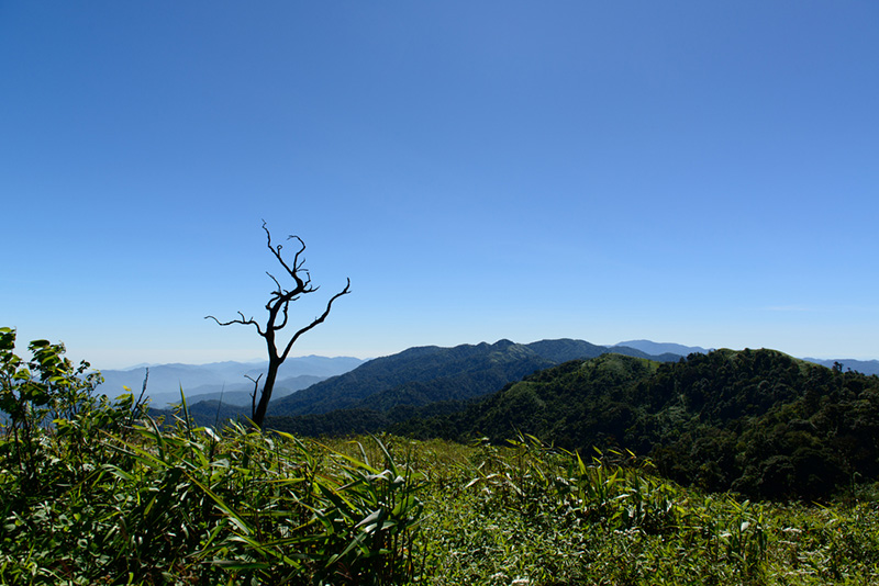 เขาเย็น อุทยานแห่งชาติคลองวังเจ้า