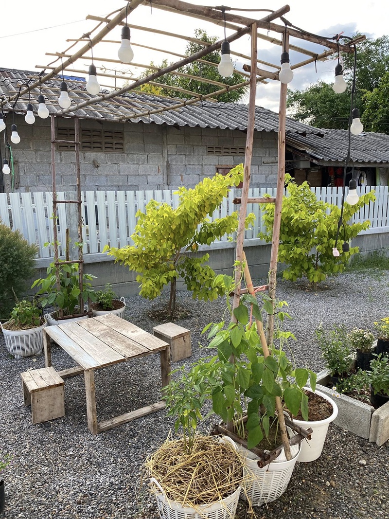 รื้อบ้านเก่า