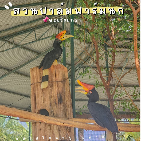 สวนปาล์มฟาร์มนก