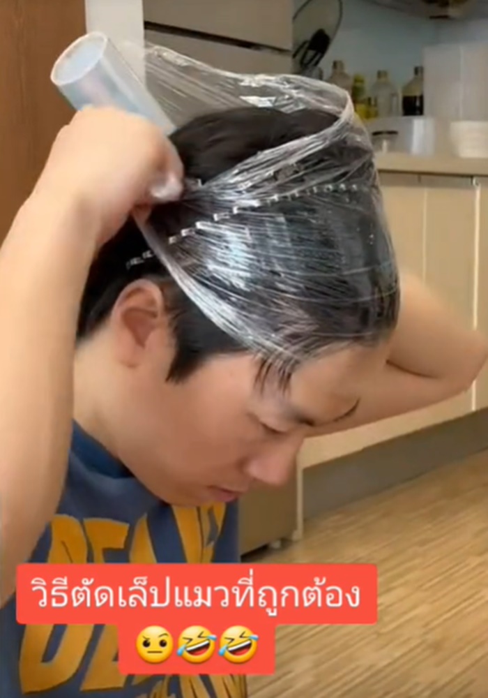 ตัดเล็บแมว