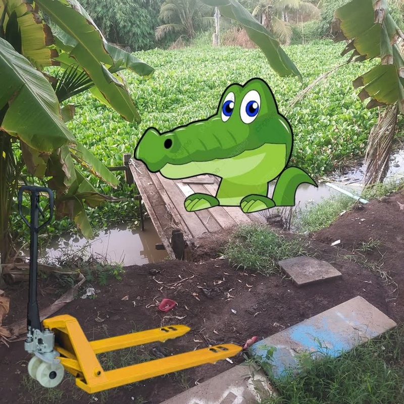 จระเข้