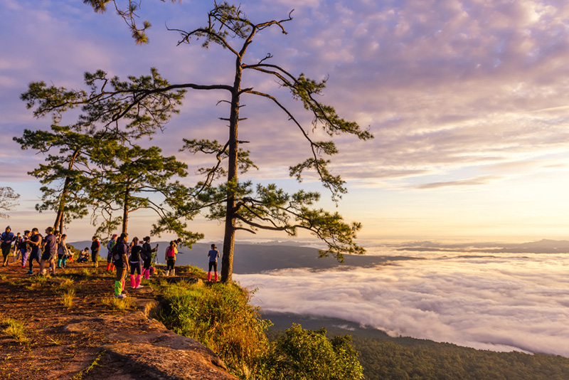 ภาพจาก : mr_gateway / Shutterstock.com