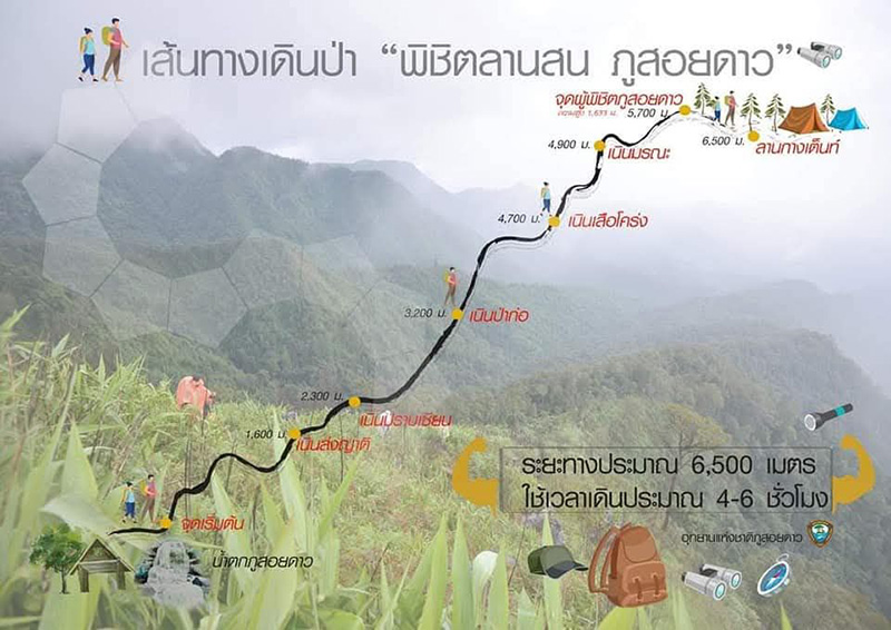 เส้นทางพิชิตลานสน ภูสอยดาว