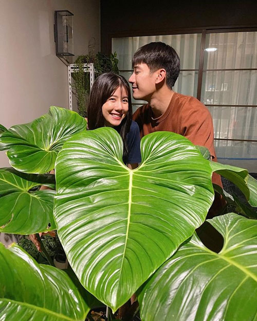 สวน เคน ภูภูมิ เอสเธอร์