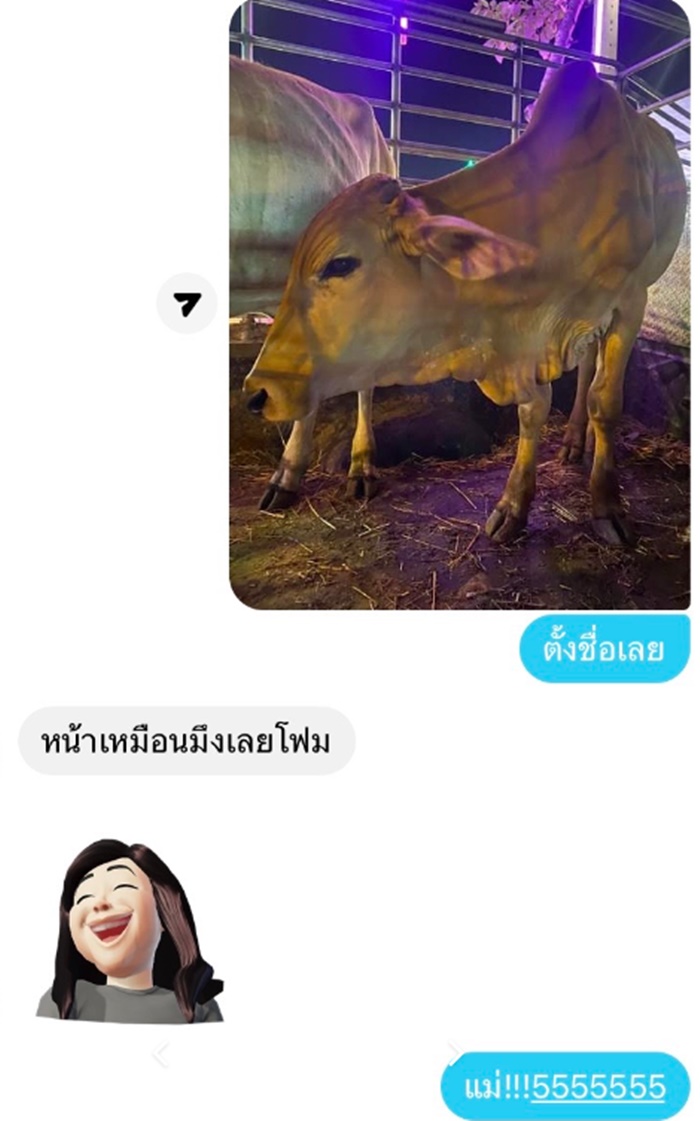 สอยดาว