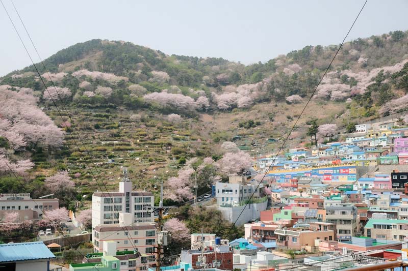 Gamcheon Culture Village