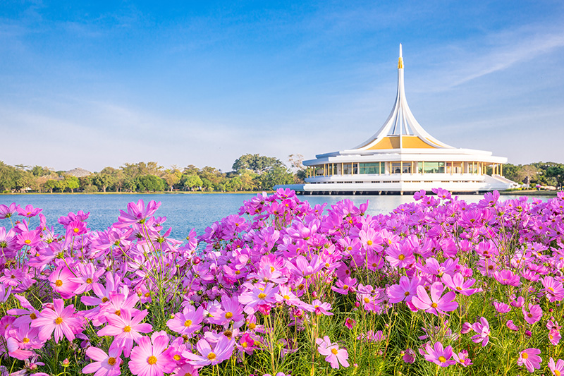 งานพรรณไม้งามอร่ามสวนหลวง ร.๙ ปี 2563