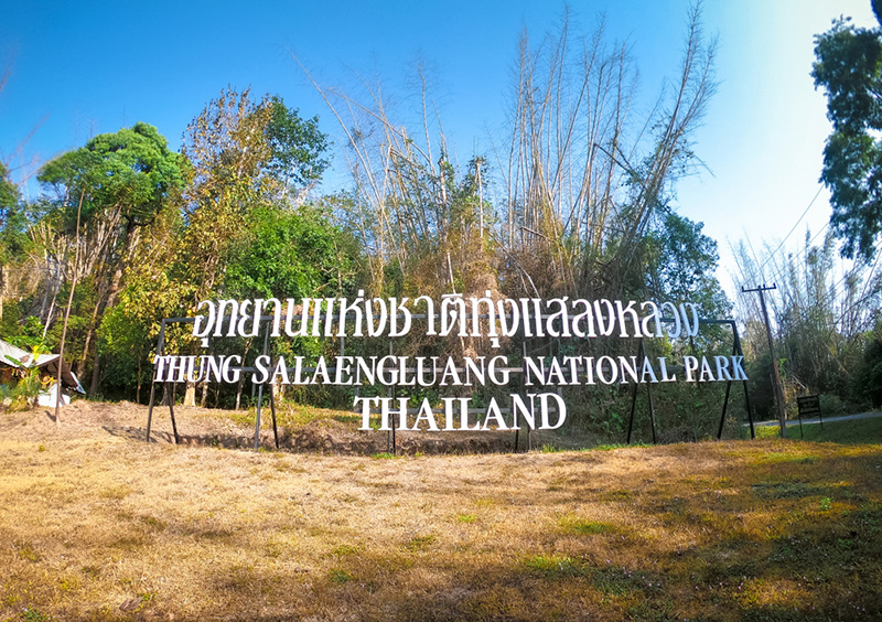 อุทยานแห่งชาติทุ่งแสลงหลวง